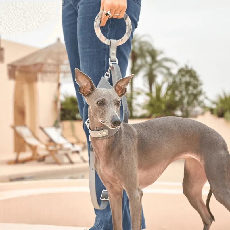 Moonstone Leather Collar